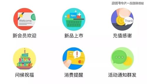 融合短信營銷技巧與信息系統運行維護服務，打造穩固顧客關系